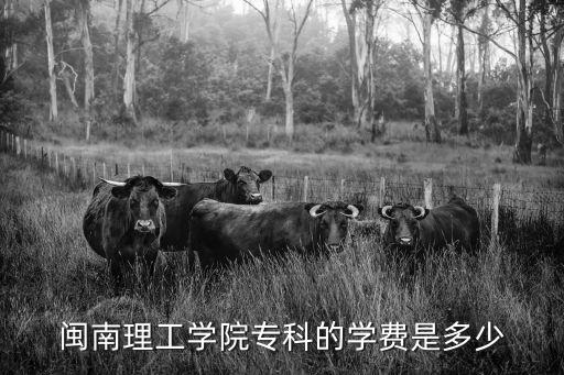 闽南理工学院的学费多少，闽南理工学院专科的学费是多少
