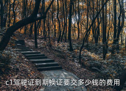 萍乡市c1换证多少钱，c1驾照到期换证多少钱