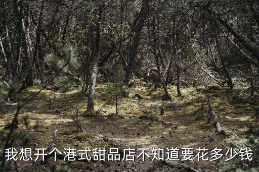 我想开个港式甜品店不知道要花多少钱