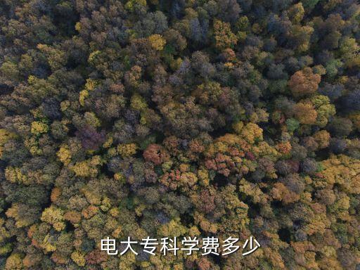 电大专科学费多少