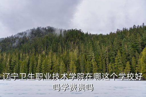 辽宁卫生职业技术学院在哪这个学校好吗学费贵吗