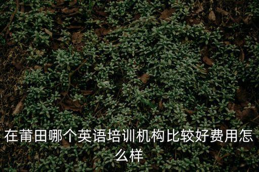 莆田出国英语培训多少钱，莆田英语培训价格多少哪个好求推荐