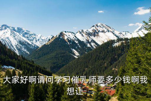 大家好啊请问学习催乳师要多少钱啊我想让