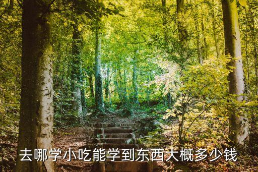 学小吃多少钱，想去学个小吃技术需要多少钱呢