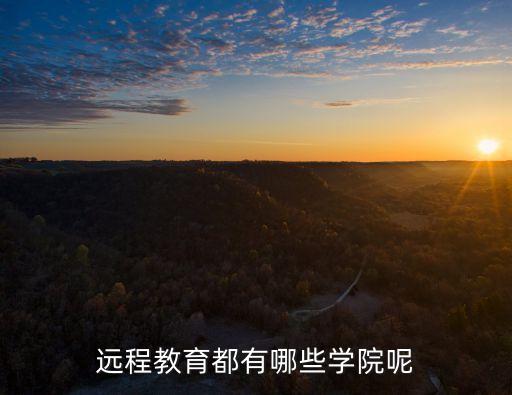 远程教育都有哪些学院呢