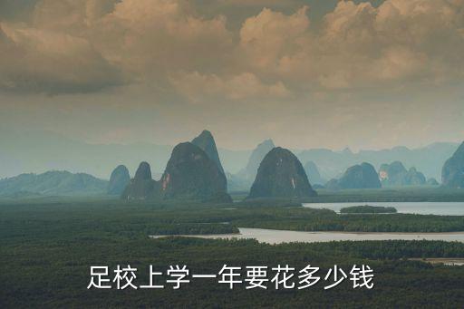 足校上学一年要花多少钱