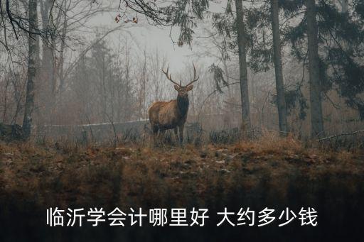 临沂学会计多少钱，临沂学会计哪里好 大约多少钱