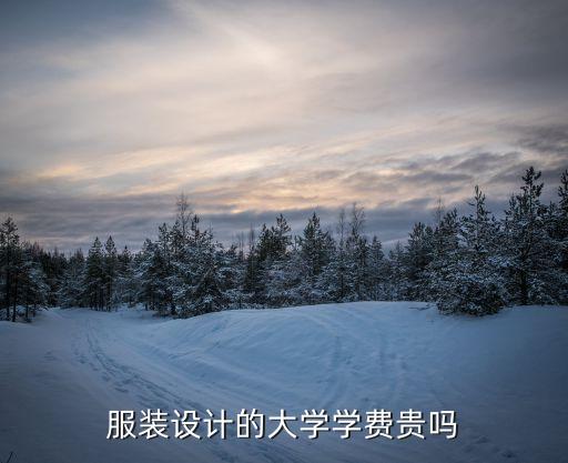 服装设计的大学学费贵吗