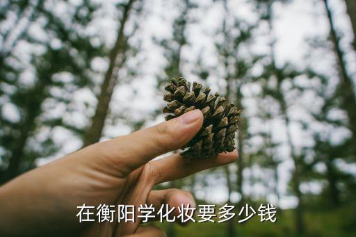 衡阳化妆学校有多少钱，在衡阳学化妆要多少钱