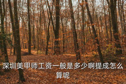 深圳美甲的工资是多少，请问在深圳的美甲师一般工资是多少
