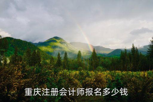 重庆cpa报名费多少，重庆注册会计师报名多少钱