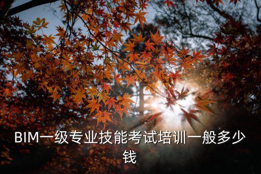 BIM一级专业技能考试培训一般多少钱