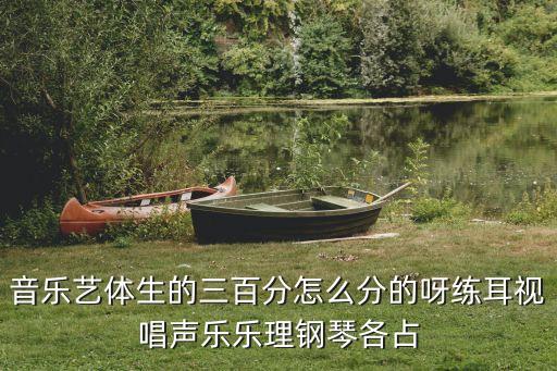 声乐钢琴占分多少，音乐艺体生的三百分怎么分的呀练耳视唱声乐乐理钢琴各占