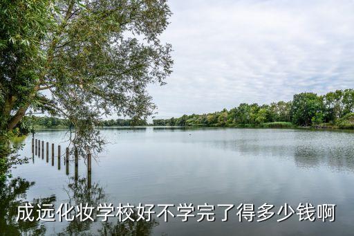 成远化妆学校好不学完了得多少钱啊