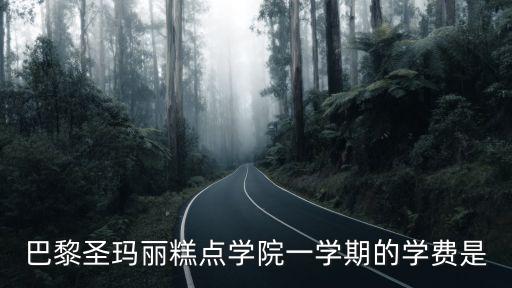 巴黎学习甜点学费多少，巴黎圣玛丽糕点学院一学期的学费是