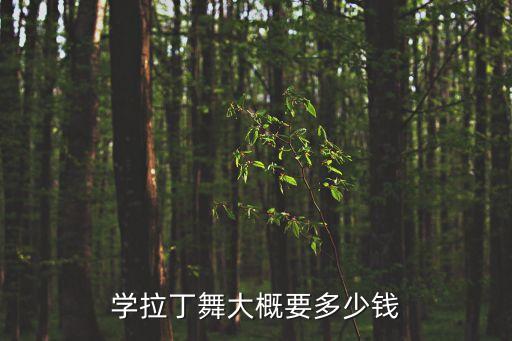学拉丁舞大概要多少钱