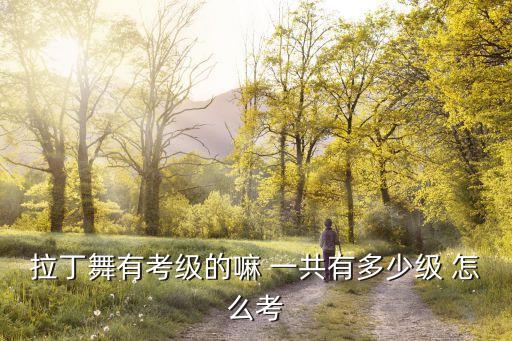 儿童拉丁舞考级一共多少级，拉丁舞分几级考级一共几级