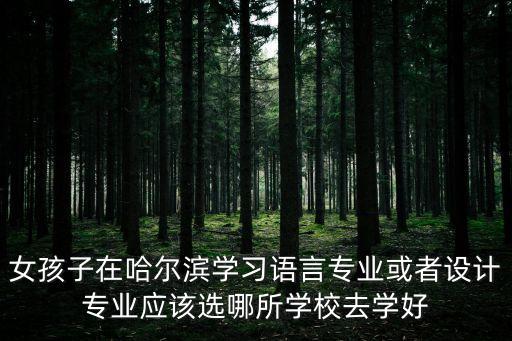 女孩子在哈尔滨学习语言专业或者设计专业应该选哪所学校去学好