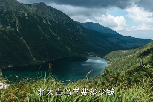 北大青鸟的软件测试学费多少钱，北大青鸟软件测试学费是多少