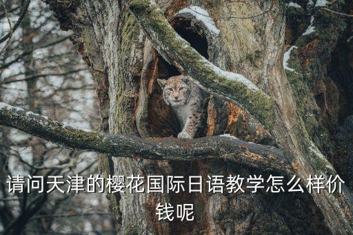 天津樱花日语学费多少，请问天津的樱花国际日语教学怎么样价钱呢