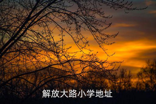 解放大路小学地址