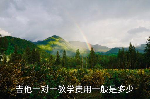 吉他一对一教学费用一般是多少
