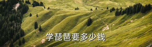 学琵琶要多少钱