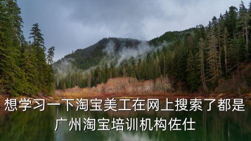 想学习一下淘宝美工在网上搜索了都是广州淘宝培训机构佐仕