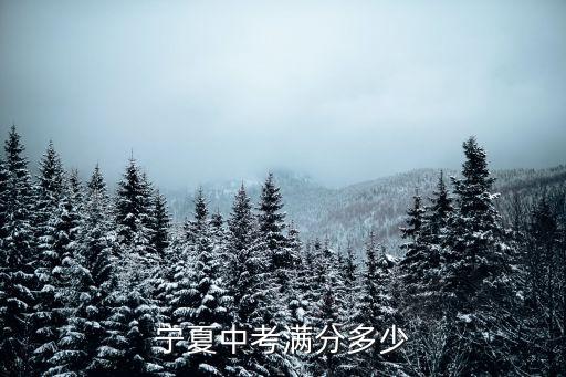 今年宁夏中考满分多少分，宁夏中考满分多少