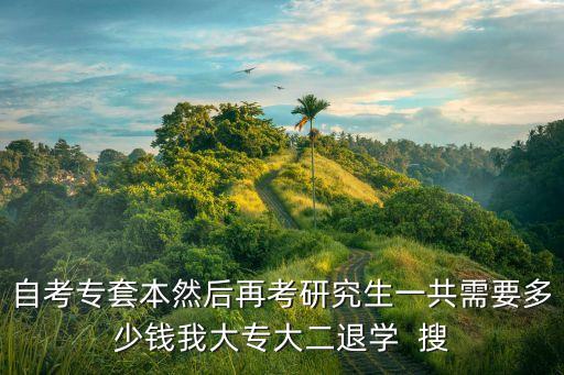自考专套本然后再考研究生一共需要多少钱我大专大二退学  搜