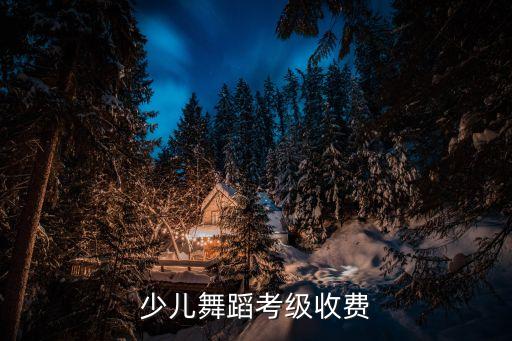 少儿舞蹈考级收费