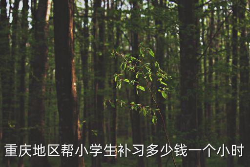 重庆补课多少钱一小时，重庆地区帮小学生补习多少钱一个小时