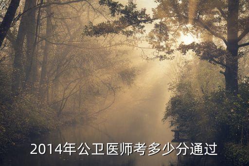 2014年公卫医师考多少分通过
