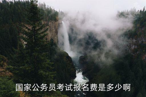 贵州公务员报名费多少钱，国家公务员考试报名费是多少啊