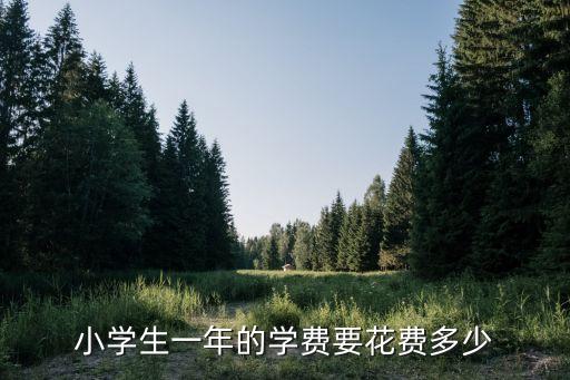 小学生一年的学费要花费多少