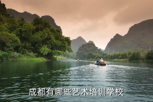 成都有哪些艺术培训学校