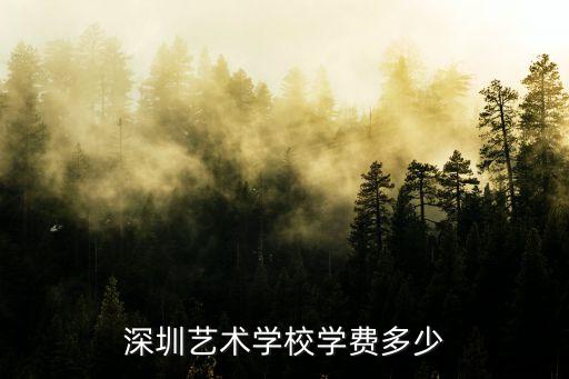 深圳学儿童画画费用是多少，深圳艺术学校学费多少