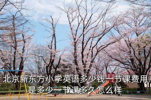 北京新东方小学英语多少钱一节课费用是多少一节课多久怎么样