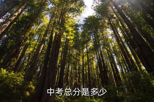 2016宁夏中考满分多少，宁夏中考满分多少