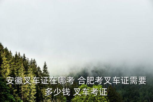 合肥考叉车证要多少钱，合肥考叉车证在哪里培训办个叉车证需要多少钱