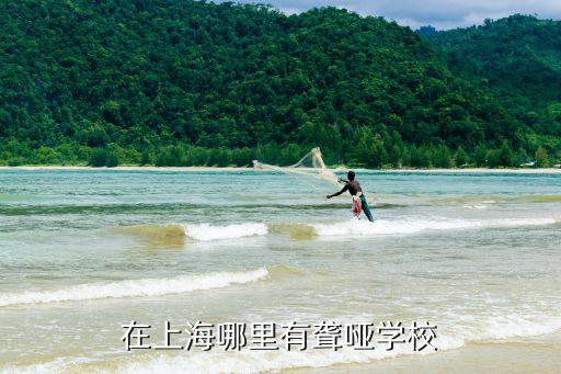 在上海哪里有聋哑学校
