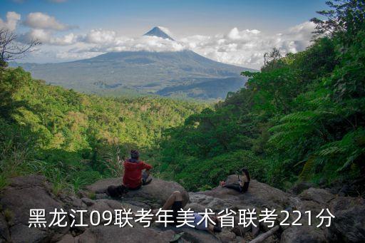 黑龙江09联考年美术省联考221分