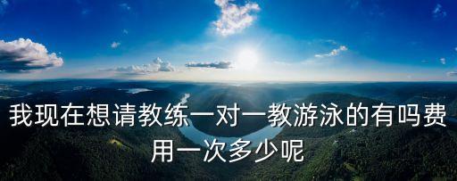 游泳教练一对一多少钱，我现在想请教练一对一教游泳的有吗费用一次多少呢