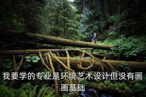 我要学的专业是环境艺术设计但没有画画基础