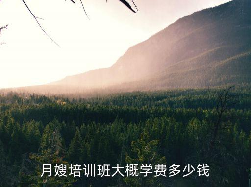 月嫂培训班大概学费多少钱