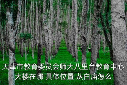 天津市教育委员会师大八里台教育中心大楼在哪 具体位置 从白庙怎么