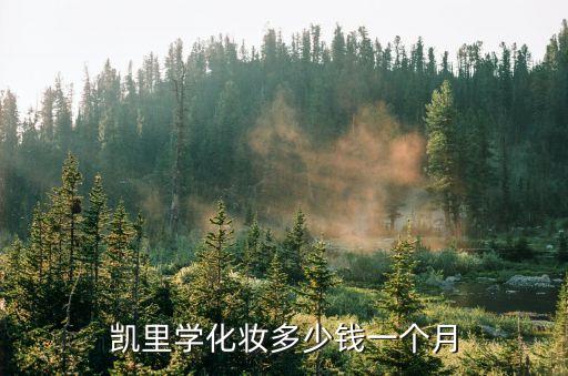 凯里学化妆多少钱一个月
