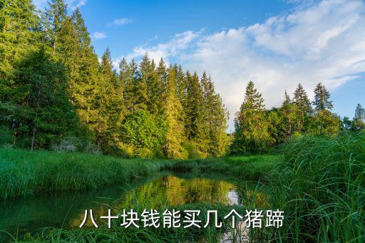 八十块钱能买几个猪蹄