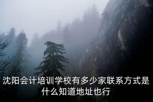 沈阳会计培训学校有多少家联系方式是什么知道地址也行