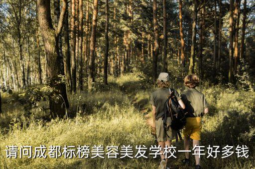 标榜学校一年多少钱，请问成都标榜美容美发学校一年好多钱